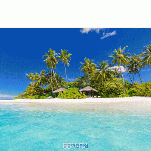 [Ƽغ]D4820 ڼ  /  Ķ  ٴ غ ġ  