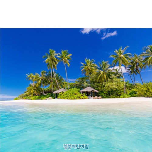 [파티붕붕]D4820 야자수 현수막 / 여름 파라솔 현수막 바다 해변 비치 포토존 제작