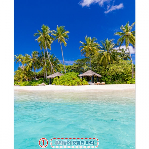 [파티붕붕]D4820 야자수 현수막 / 여름 파라솔 현수막 바다 해변 비치 포토존 제작