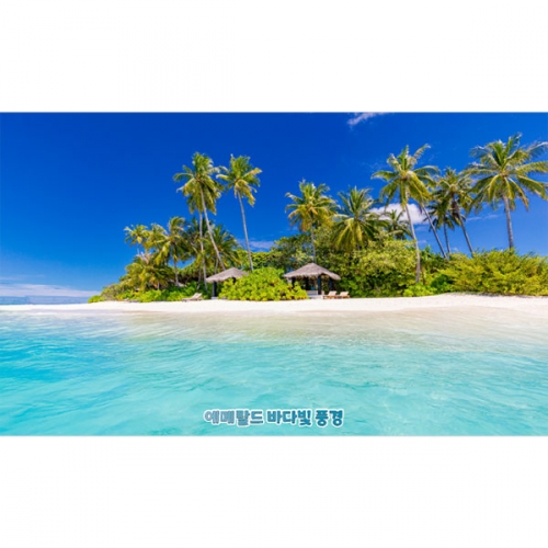 [파티붕붕]D4820 야자수 현수막 / 여름 파라솔 현수막 바다 해변 비치 포토존 제작