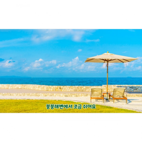 [파티붕붕]D4818 현수막 / 여름 바다 현수막 바닷가 비치파라솔 해변 배경 포토존