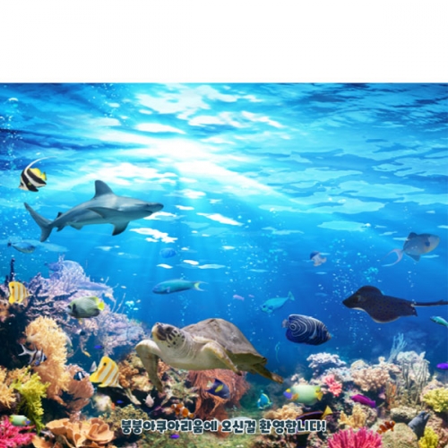 [파티붕붕]D4849 블루데이 현수막 / 바다속 현수막 어린이집 유치원 바다 물고기 거북이 포토존