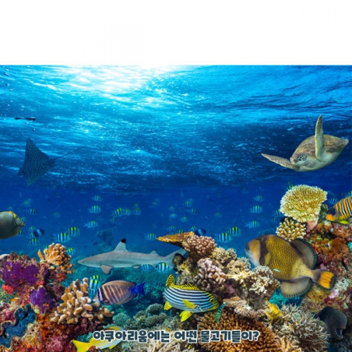 [파티붕붕]D4844 여름 현수막 / 어린이집 바다속 현수막 유치원 물속 물고기 거북이 포토존