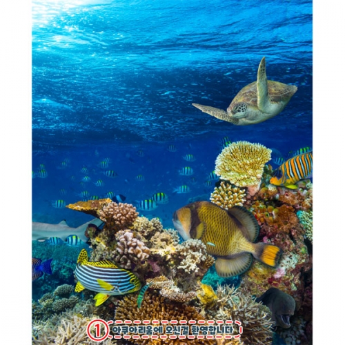 [파티붕붕]D4844 여름 현수막 / 어린이집 바다속 현수막 유치원 물속 물고기 거북이 포토존