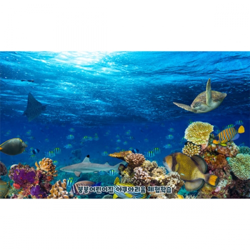 [파티붕붕]D4844 여름 현수막 / 어린이집 바다속 현수막 유치원 물속 물고기 거북이 포토존