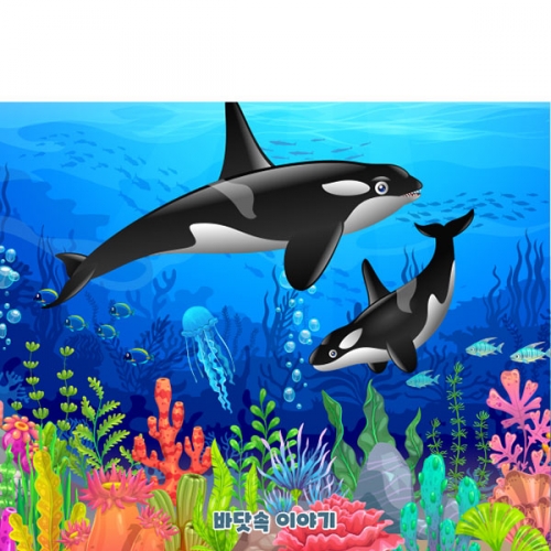 [파티붕붕]D4830 바다속 현수막 / 유치원 여름 바다 돌고래 현수막 어린이집 고래 포토존 제작