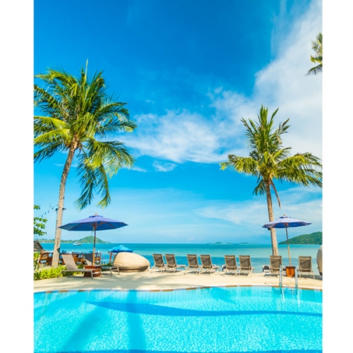 [파티붕붕]D3128 바다 현수막 / 물놀이 현수막 유치원 어린이집 해변 야자수 배경 플랜카드