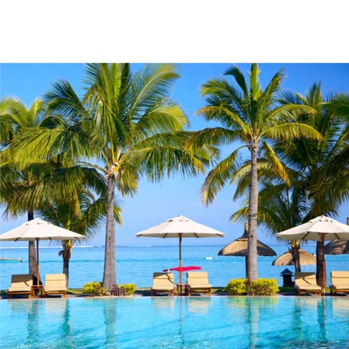 [파티붕붕]D3127 야자수 현수막 / 어린이집 유치원 여름 해변 배경 포토존