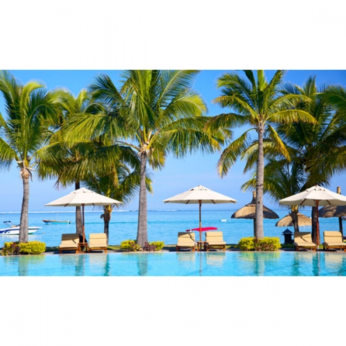 [파티붕붕]D3127 야자수 현수막 / 어린이집 유치원 여름 해변 배경 포토존