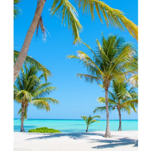 [파티붕붕]D2934 야자수 현수막 / 어린이집 유치원 바다 풍경 해변 현수막 포토존