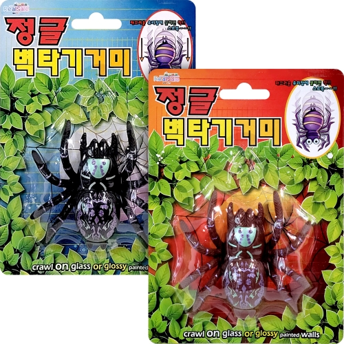 정글 벽타기 거미 스파이더 찐득이 (12개)