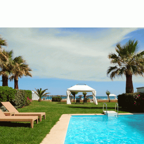 [Ƽغ]D2937 Ǯ  / ġ     ߿  ڼ ÷ī