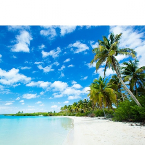 [파티붕붕]D2936 현수막 / 해변 바다 현수막 물놀이 여름 배경 플랜카드