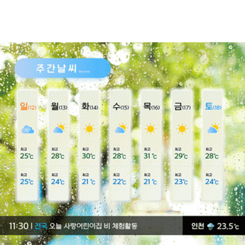 [Ƽغ]D3072 ϱ⿹  /  ġ  û ҳ  