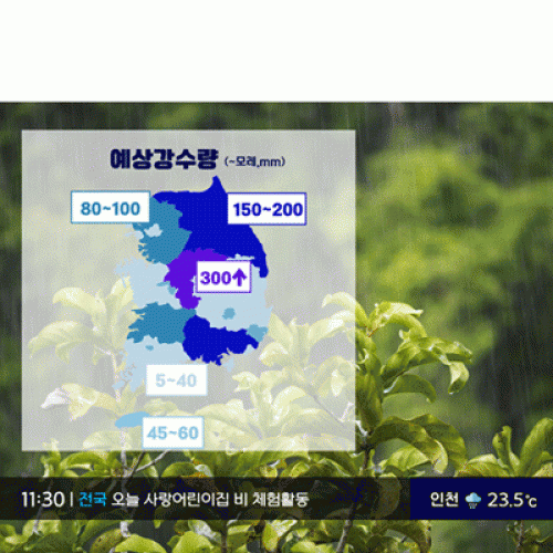 [Ƽغ]D3073 帶  / ġ  ۱     ü   