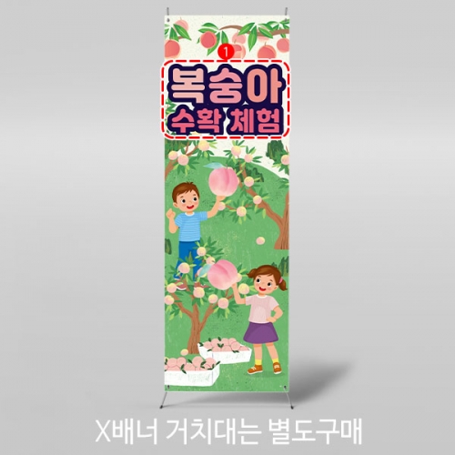 [파티붕붕]X배너 3254 / 복숭아 체험 배너 어린이집 유치원 체험학습 현수막