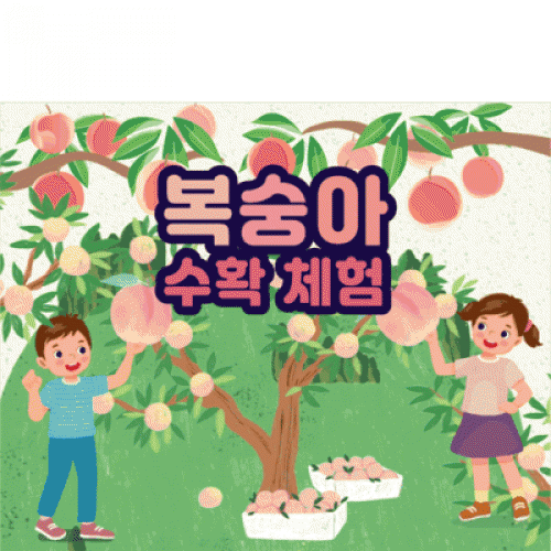 [Ƽغ]D3254  /  ü   ġ üн ÷ī