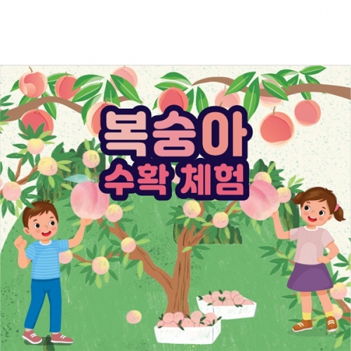 [파티붕붕]D3254 현수막 / 복숭아 체험 현수막 어린이집 유치원 체험학습 플랜카드