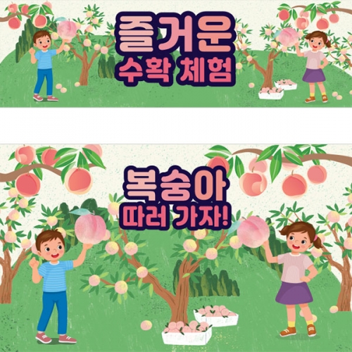 [파티붕붕]D3254 현수막 / 복숭아 체험 현수막 어린이집 유치원 체험학습 플랜카드