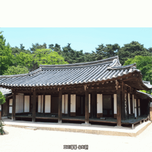 [Ƽغ] D5884  ѿ  / ġ       ǻ