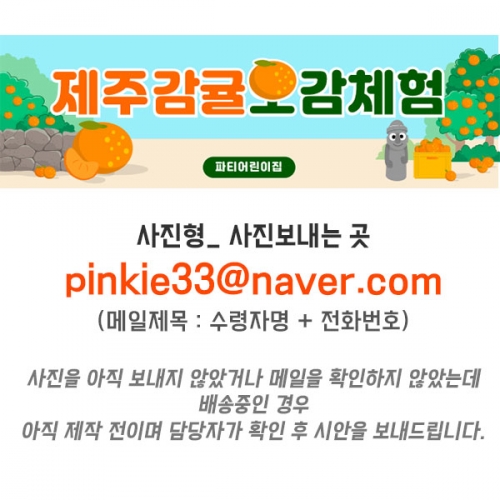 [파티붕붕]D5230 오감놀이 현수막 / 유치원 감귤 오감체험 현수막 어린이집 한라봉 천혜향 포토존