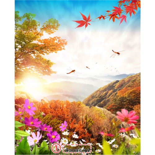 [파티붕붕]D5191 가을풍경 현수막 / 어린이집 유치원 코스모스 단풍 숲 나무 배경 현수막 제작