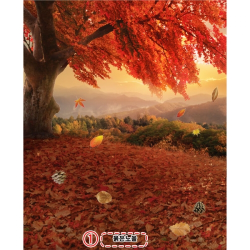 [파티붕붕]D5190 단풍나무 현수막 / 가을 현수막 유치원 어린이집 단풍 숲 나무 배경 포토존 제작