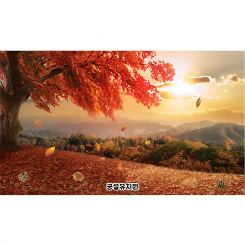 [파티붕붕]D5190 단풍나무 현수막 / 가을 현수막 유치원 어린이집 단풍 숲 나무 배경 포토존 제작