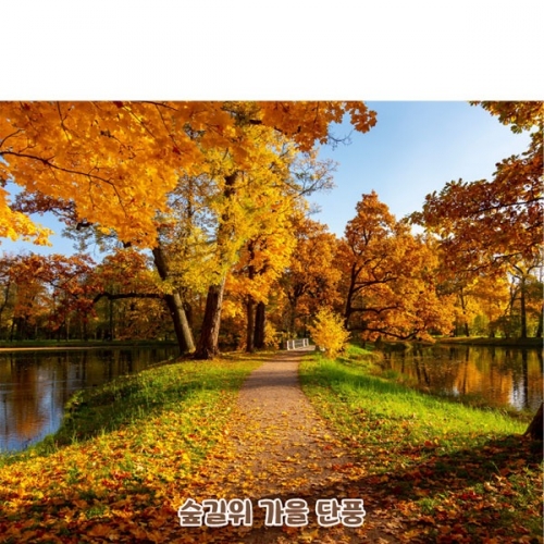 [Ƽغ]D5091   /   ǻ  ġ ǳ  