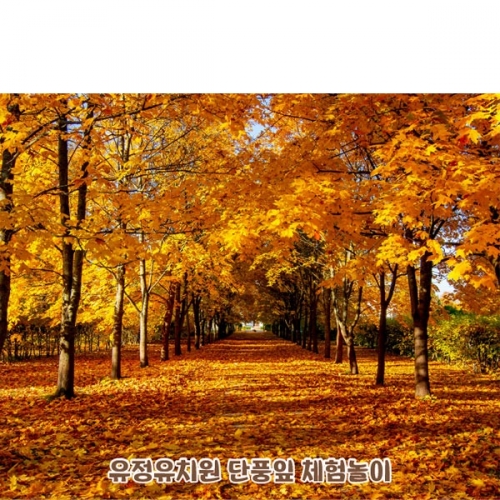 [Ƽغ]D5088  / ġ    ǳ   