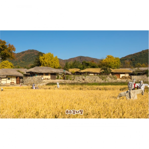 [파티붕붕]D5083 들녁 현수막 / 어린이집 가을 허수아비 현수막 유치원 벼 추수 포토존