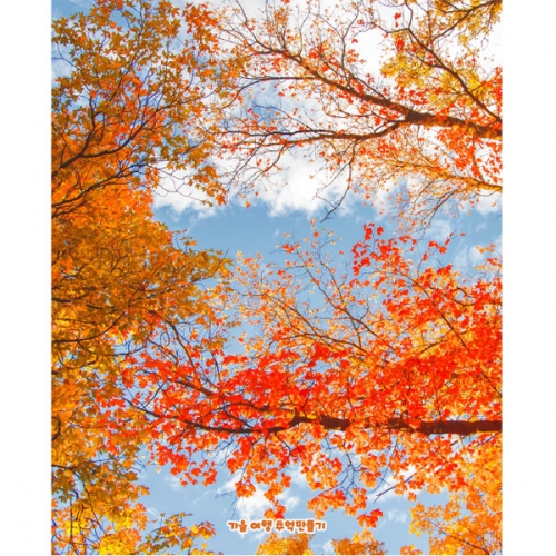 [파티붕붕]D5082 가을 현수막 / 유치원 어린이집 단풍나무 하늘 풍경 현수막 포토존 제작