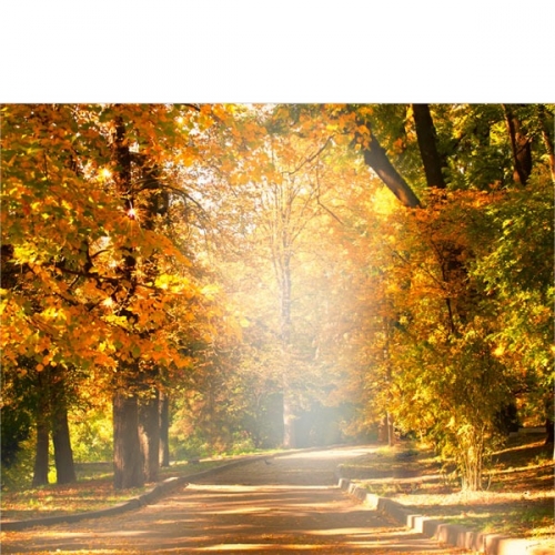 [Ƽغ]D3495 /  ǳ ೪ ǻ    