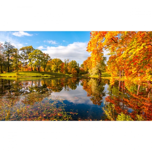 [파티붕붕]D3494 호수 현수막 / 유치원 어린이집 가을 단풍나무 현수막 제작