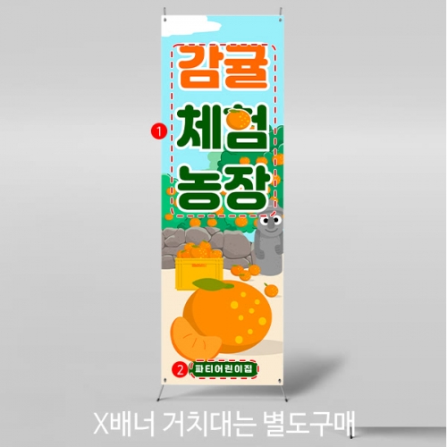 [파티붕붕] X배너 5230 / 유치원 감귤 오감체험 배너 어린이집 한라봉 천혜향 포토존