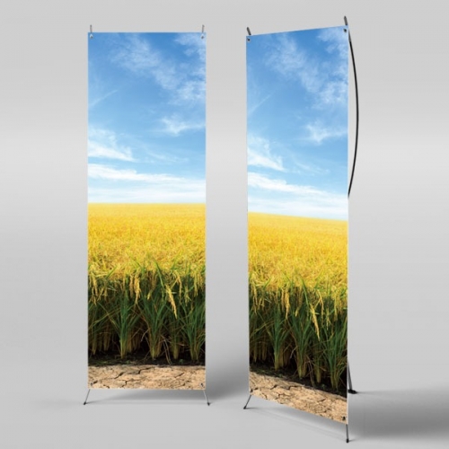 [Ƽغ] X 3407 /        