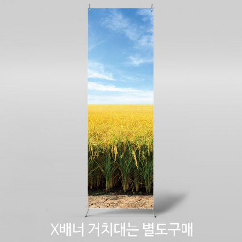 [파티붕붕] X배너 3407 / 들녁 들판 벼 배너 가을 배경 포토존 제작