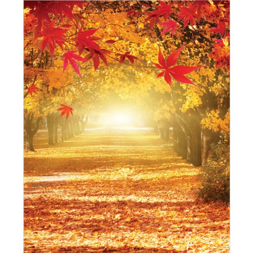 [파티붕붕]D3313 현수막 / 가을 단풍나무 현수막 어린이집 유치원 배경 플랜카드 제작