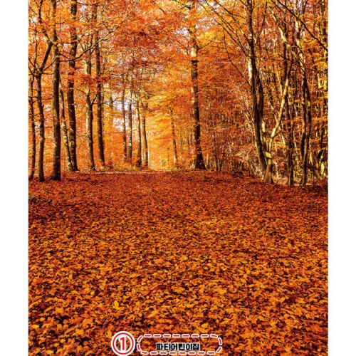 [파티붕붕] D2563 현수막 / 어린이집 유치원 등산 산행 가을 배경 현수막