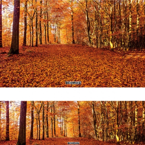 [파티붕붕] D2563 현수막 / 어린이집 유치원 등산 산행 가을 배경 현수막