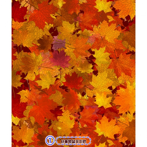 [파티붕붕] D2586 현수막 / 어린이집 유치원 등산 산행 가을 배경 현수막