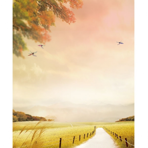 [파티붕붕]D3402 들녁 현수막 / 가을 배경 현수막 황금 들판 벼 풍경 포토존 제작