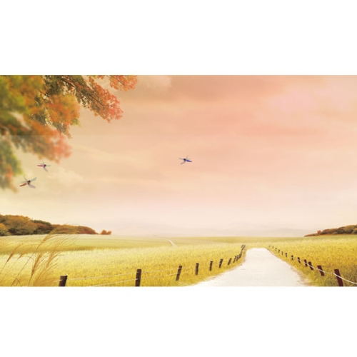 [파티붕붕]D3402 들녁 현수막 / 가을 배경 현수막 황금 들판 벼 풍경 포토존 제작