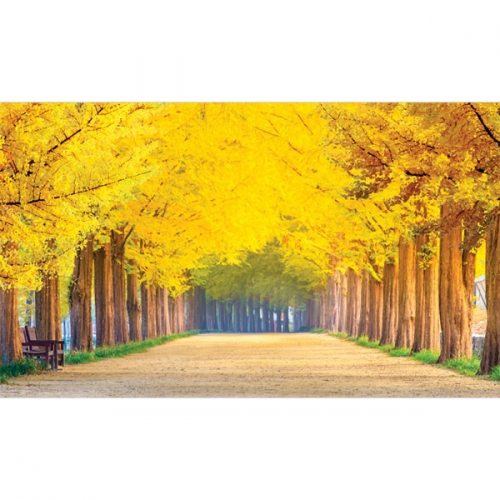 [파티붕붕]D3315 가을 현수막 / 단풍나무 은행나무 현수막 가을배경 플랜카드 제작