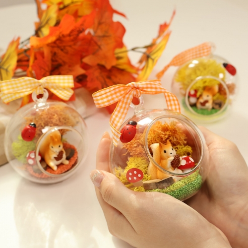 가을 숲 테라리움 5set