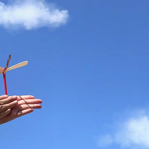 빙글빙글 잠자리 헬리콥터 10set