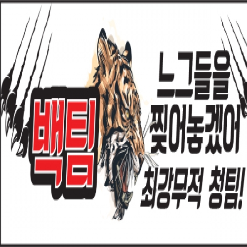 [파티붕붕]D1200 현수막 / 운동회현수막 학예회현수막 어린이집현수막 포토존현수막