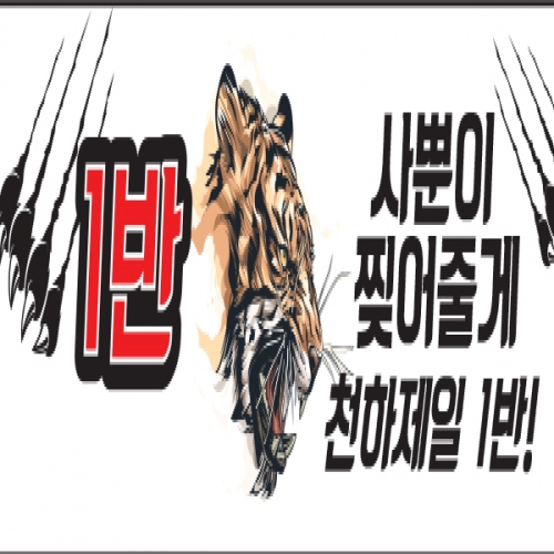 [파티붕붕]D1200 현수막 / 운동회현수막 학예회현수막 어린이집현수막 포토존현수막