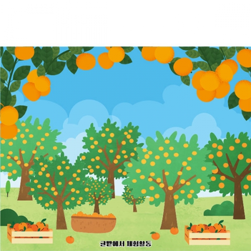 [파티붕붕]D5254 감귤 현수막 / 유치원 어린이집 귤 현수막 귤나무 포토존 제작