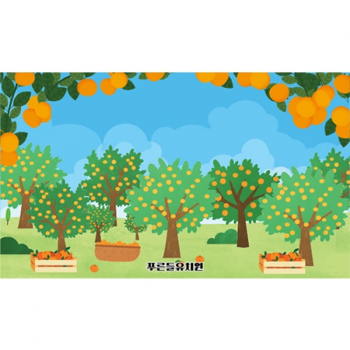 [파티붕붕]D5254 감귤 현수막 / 유치원 어린이집 귤 현수막 귤나무 포토존 제작